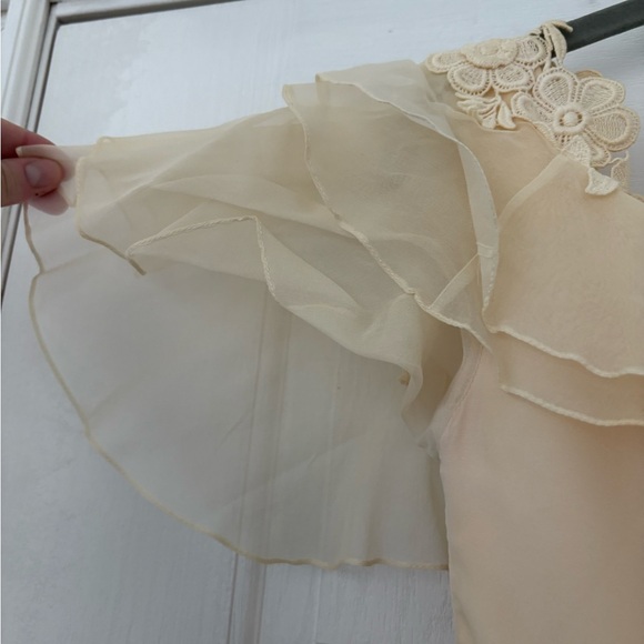 Vintage 1970s Prairie Wedding Gown – Organza Ruffles, Daisy Floral Appliqué - Picture 11 of 15